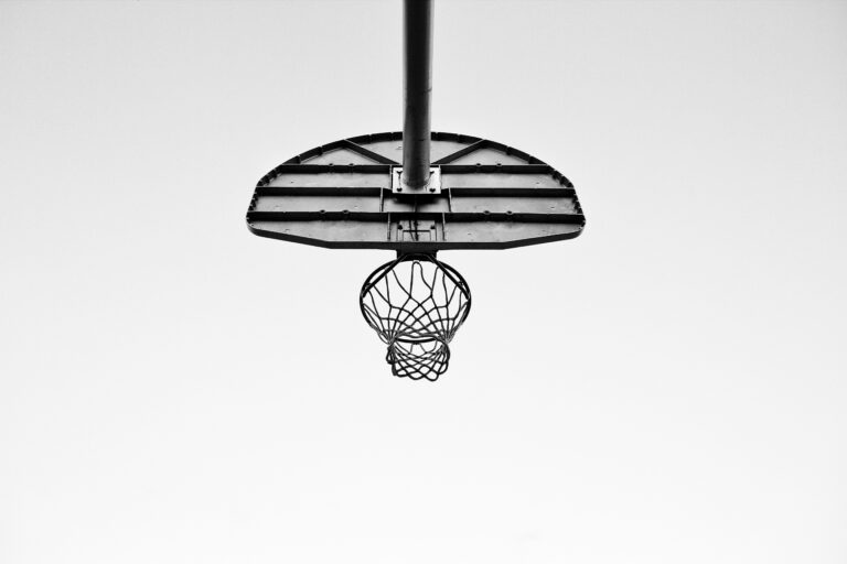 montylov-uMqz87f22mg-unsplash
